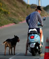 Tumbnail Image of Owen Wilson ridig a Vespa.